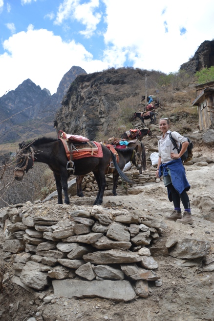 Locals keep donkeys to help tired tourists - if required.